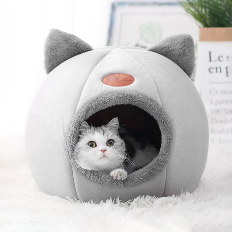 Cama de gato para inverno