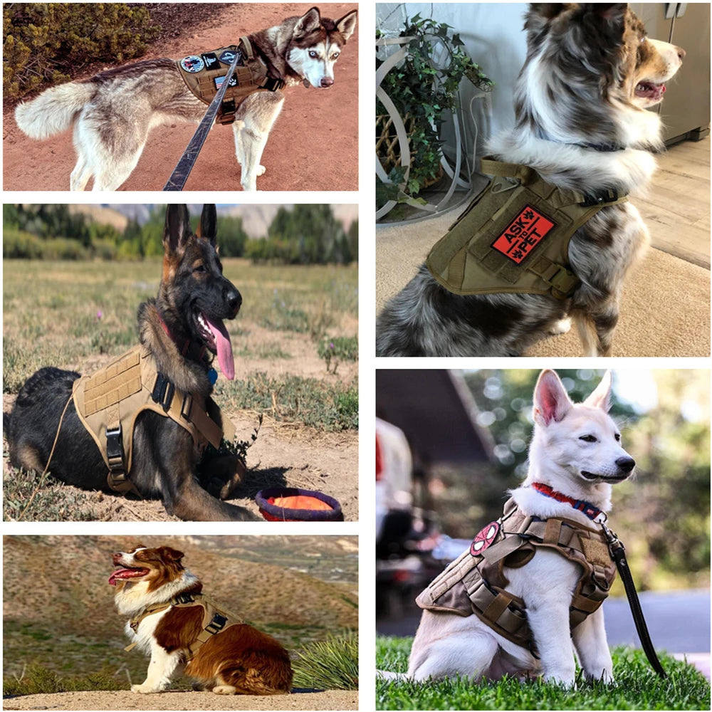 Colete de treinamento militar para cães de grande porte