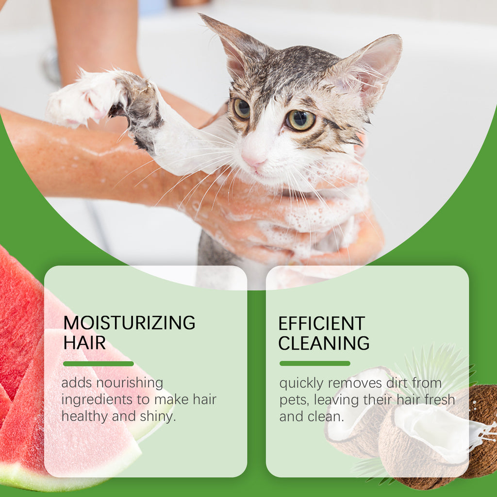 Shampoo 2 em 1 para animais de estimação, sabonete líquido para banho e corpo