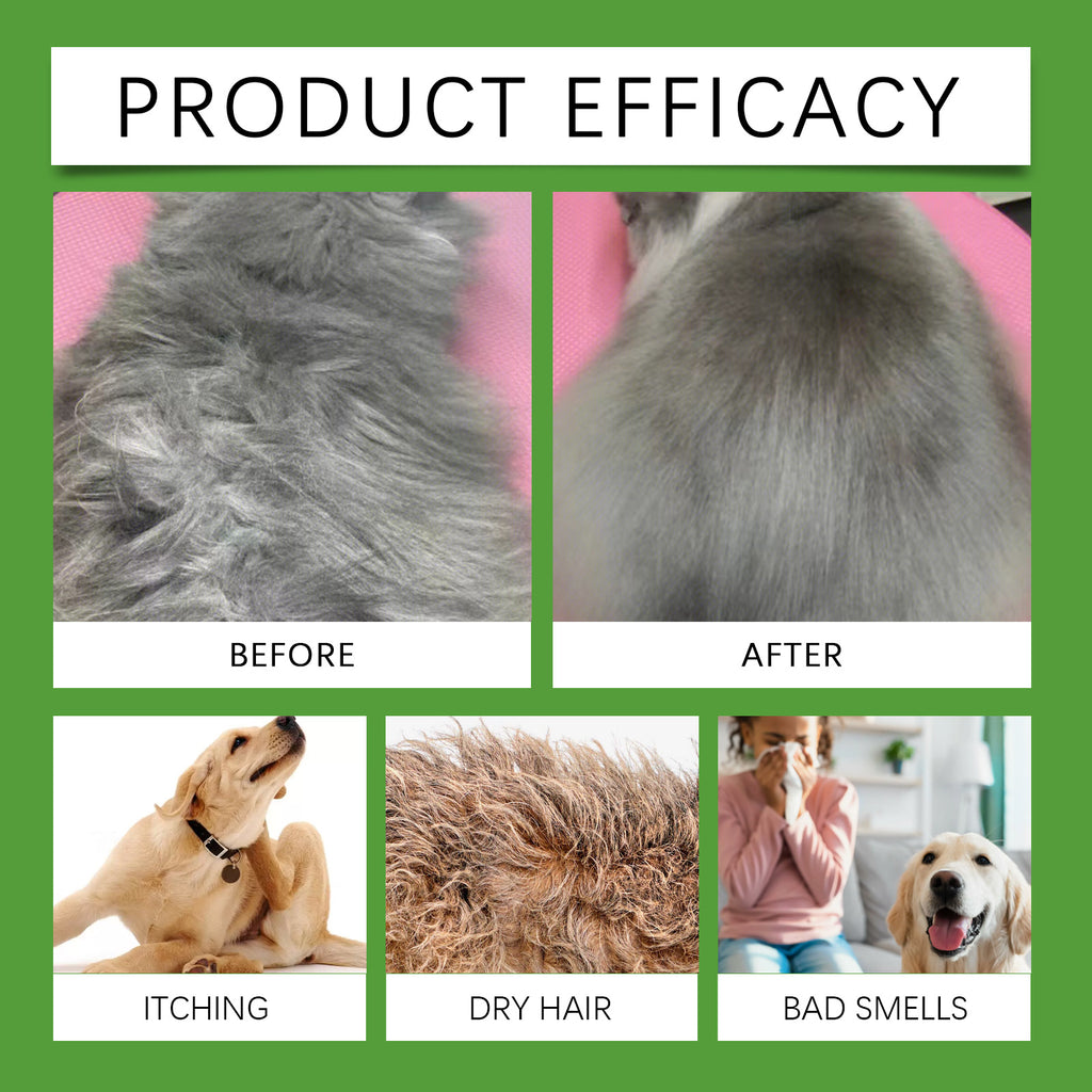 Shampoo 2 em 1 para animais de estimação, sabonete líquido para banho e corpo