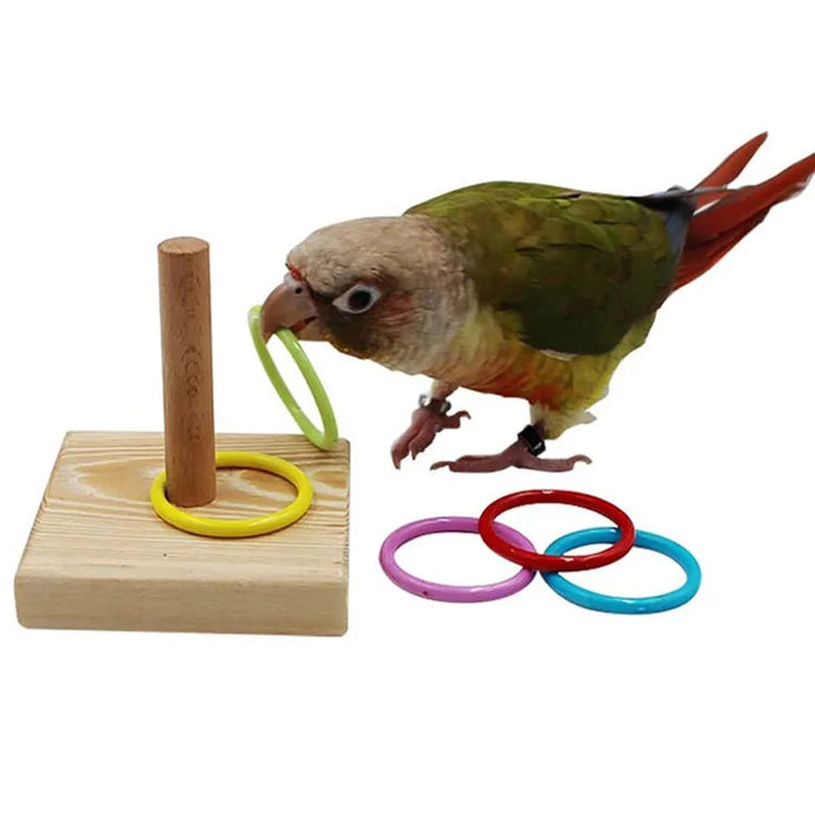 Conjunto de brinquedos para treinamento de pássaros, quebra-cabeça de blocos