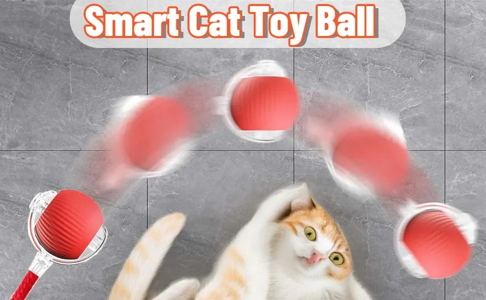 Bola interativa para cães e gatos, bola rolante automática com cauda falsa