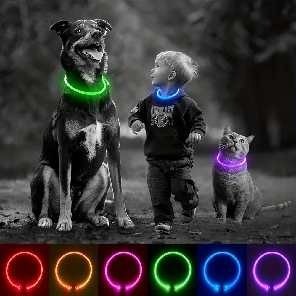 Coleira de LED para cães, luminosa, anti-perda, recarregável via USB.