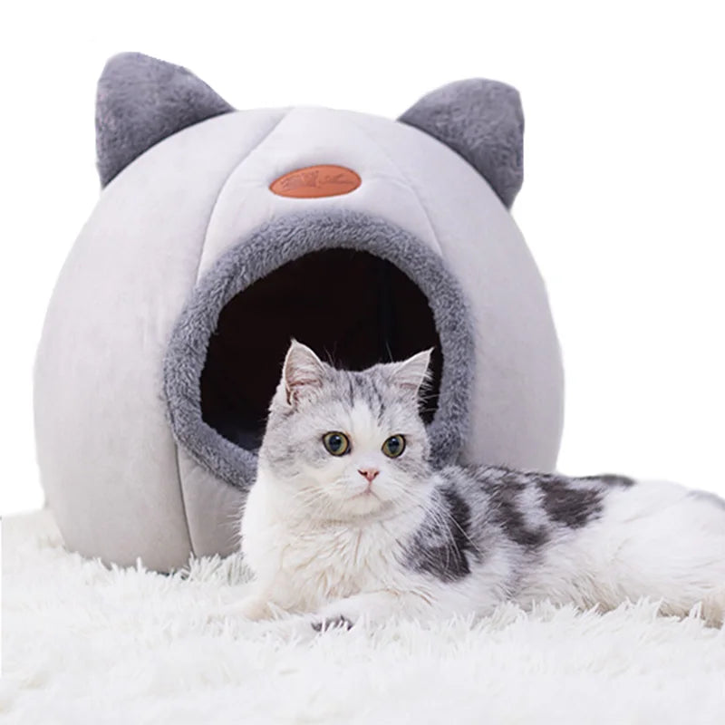 Cama de gato para inverno