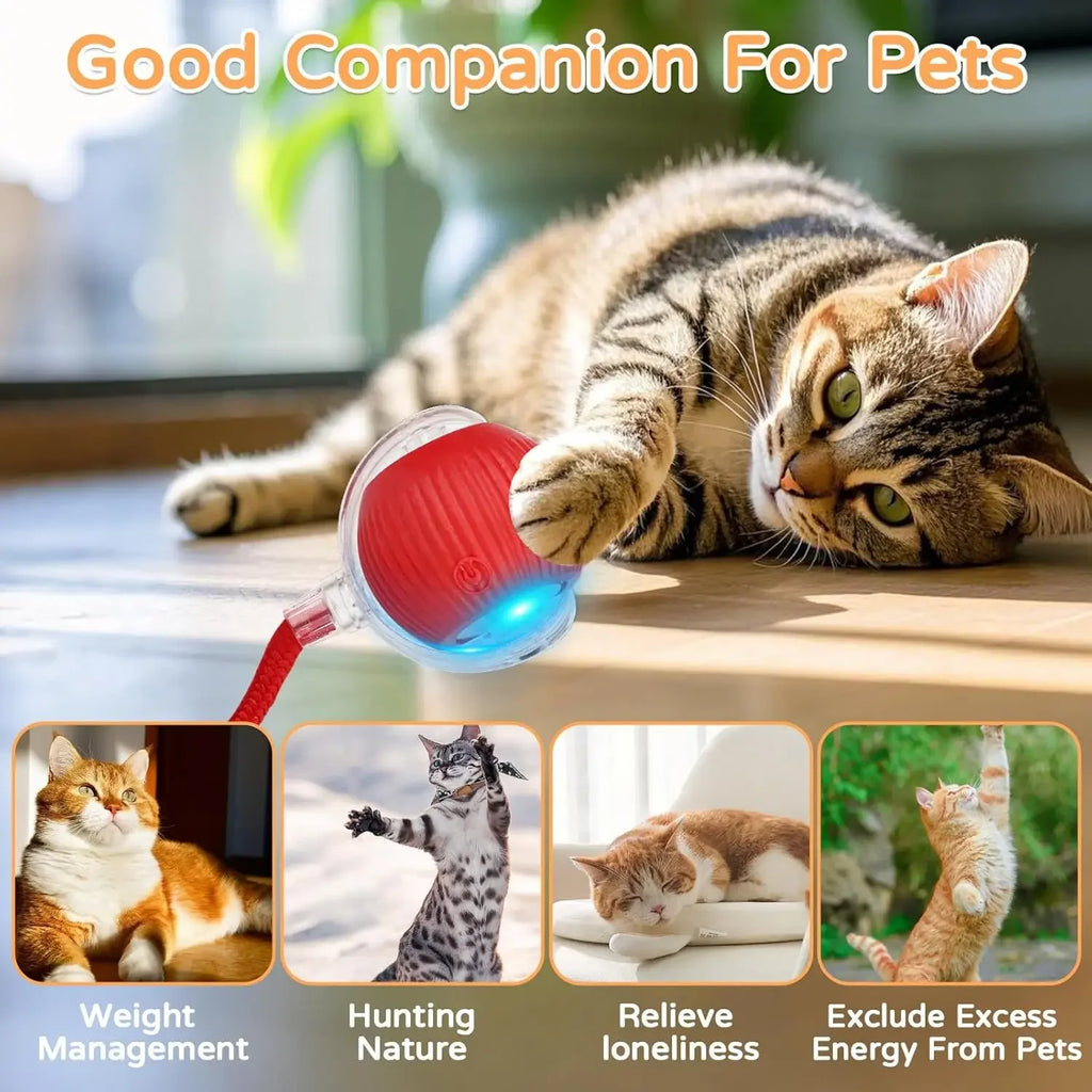 Bola interativa para cães e gatos, bola rolante automática com cauda falsa