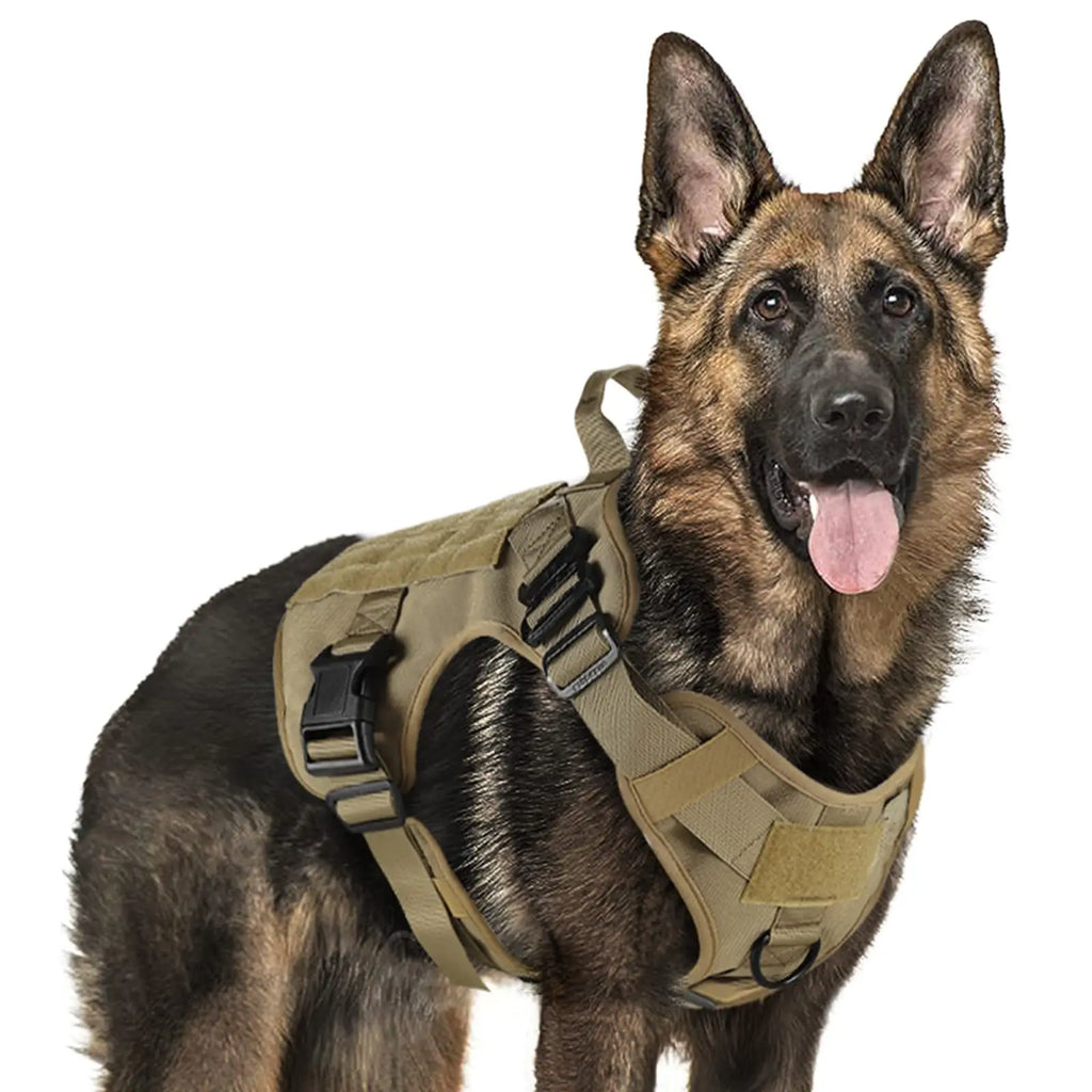 Colete de treinamento militar para cães de grande porte