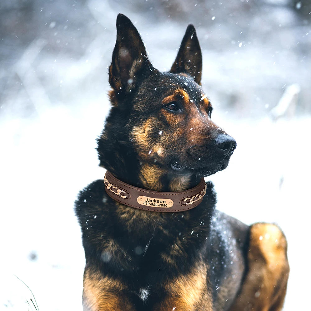 Coleiras de couro personalizadas com placa de identificação para cães