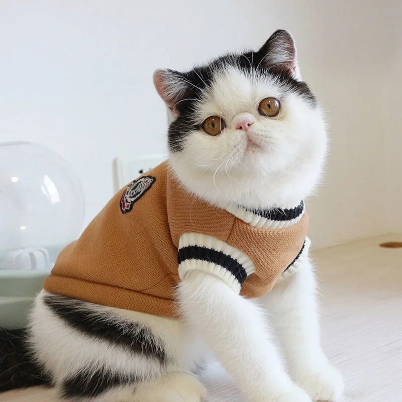 Suéter de inverno com estampa de gato e Cão