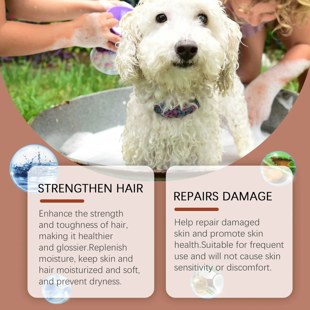 Shampoo e condicionador hidratante para cães com pele sensível, pH balanceado