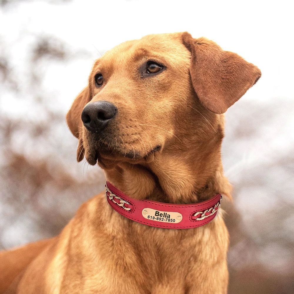 Coleiras de couro personalizadas com placa de identificação para cães
