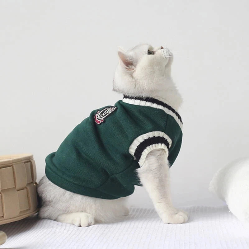 Suéter de inverno com estampa de gato e Cão