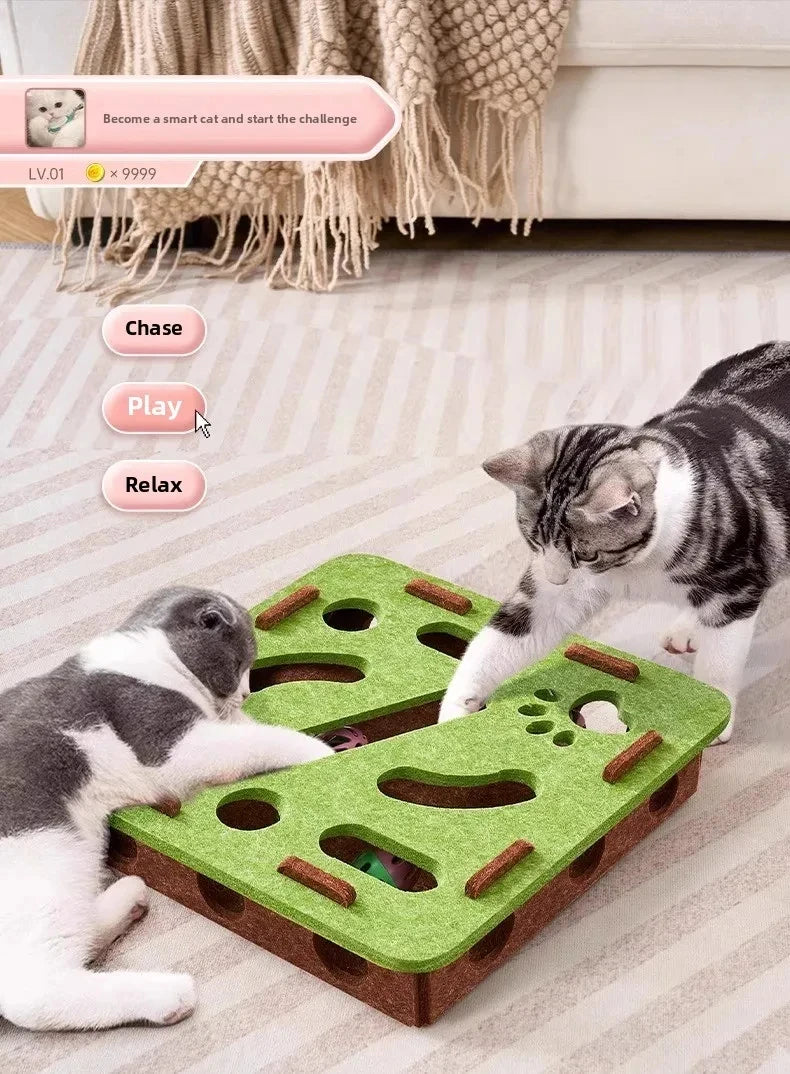 Quebra-Cabeça para Gatos em Feltro