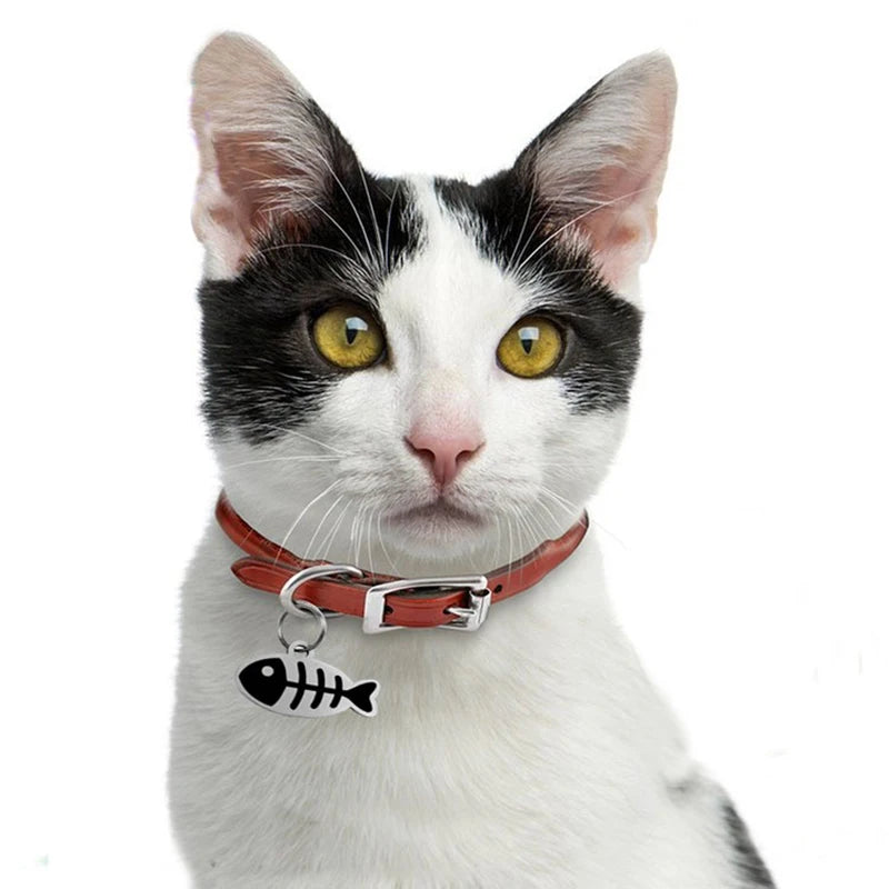 Coleiras Personalizadas para Gatos