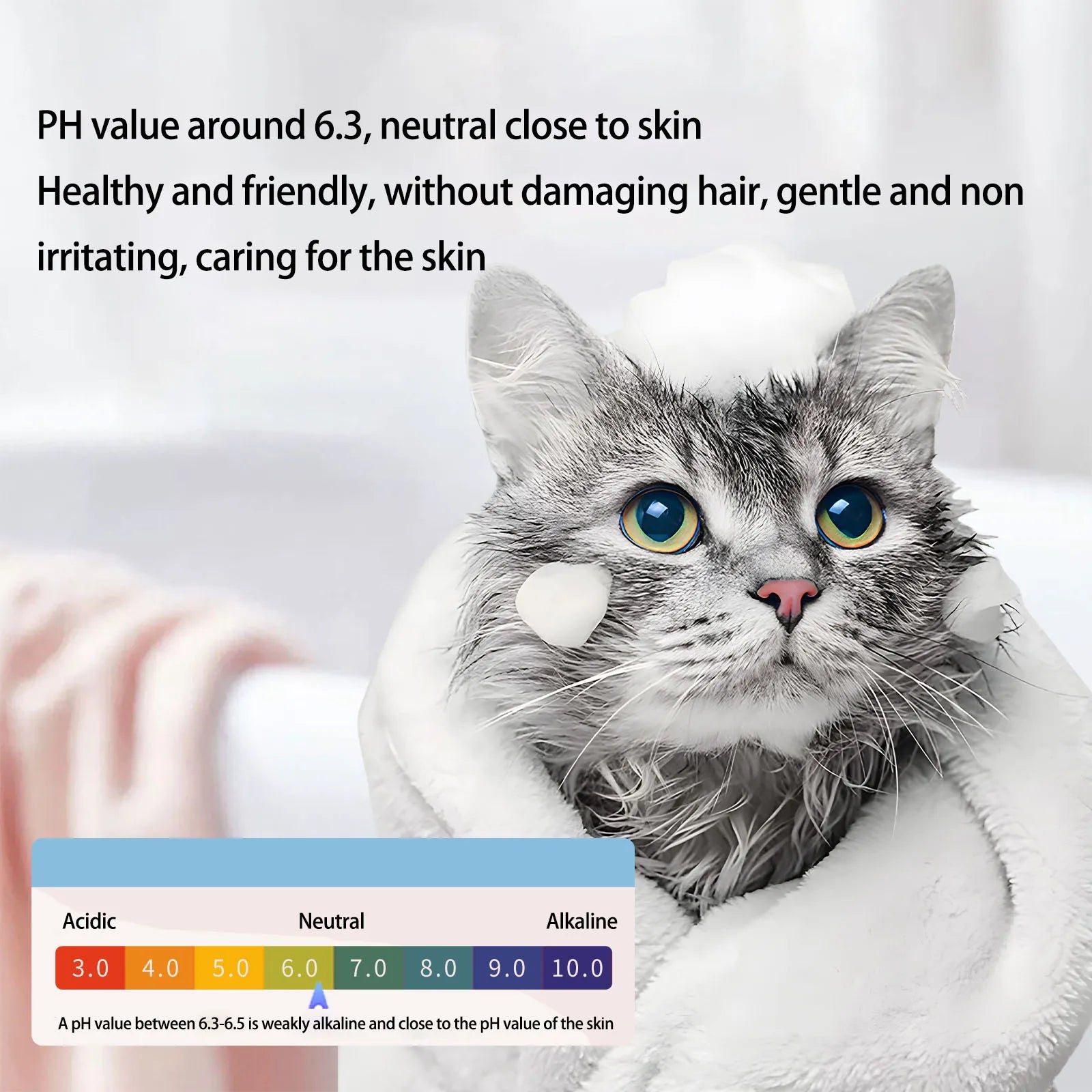Gel de Banho para Gatos Elimina Odores e Mantém a Fragrância Limpa Profundamente