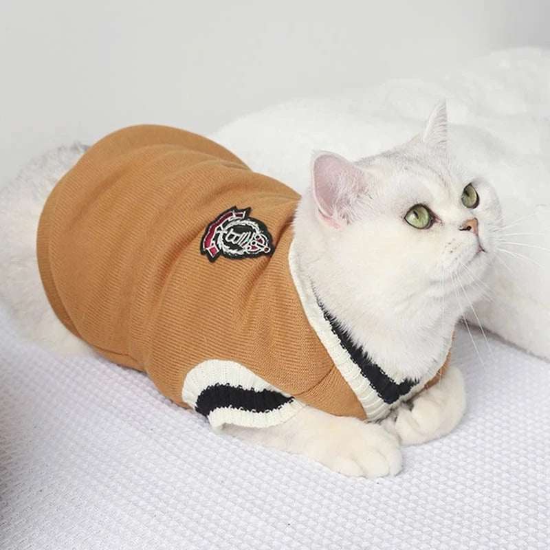 Suéter de inverno com estampa de gato e Cão