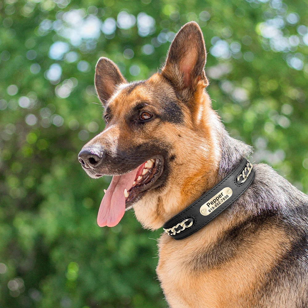 Coleiras de couro personalizadas com placa de identificação para cães