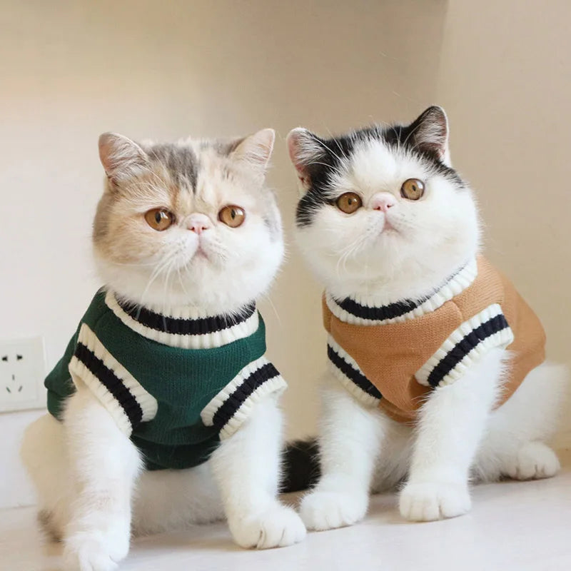 Suéter de inverno com estampa de gato e Cão