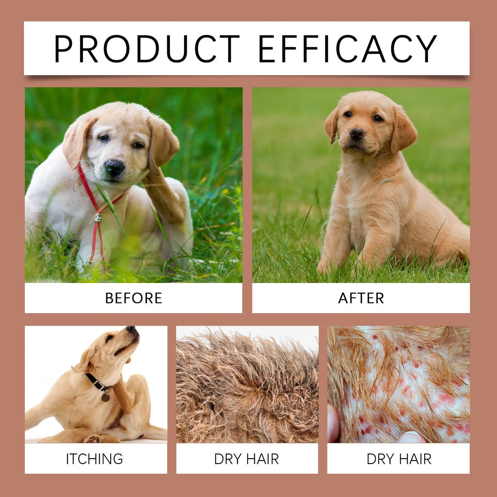 Shampoo e condicionador hidratante para cães com pele sensível, pH balanceado