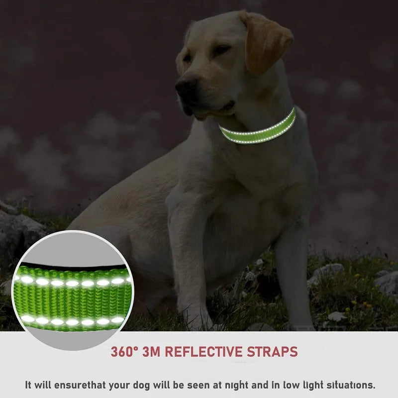 Coleira Choker para Cães Pequenos, Coleiras para Filhotes