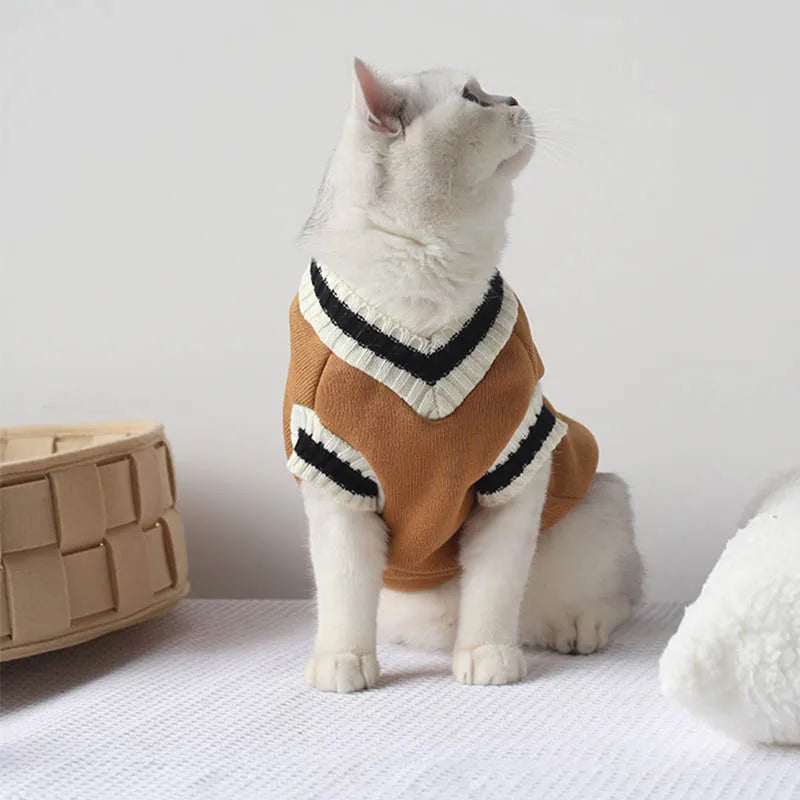 Suéter de inverno com estampa de gato e Cão
