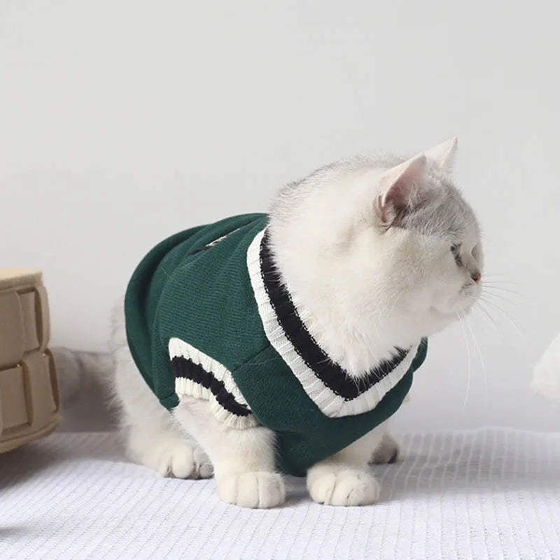 Suéter de inverno com estampa de gato e Cão