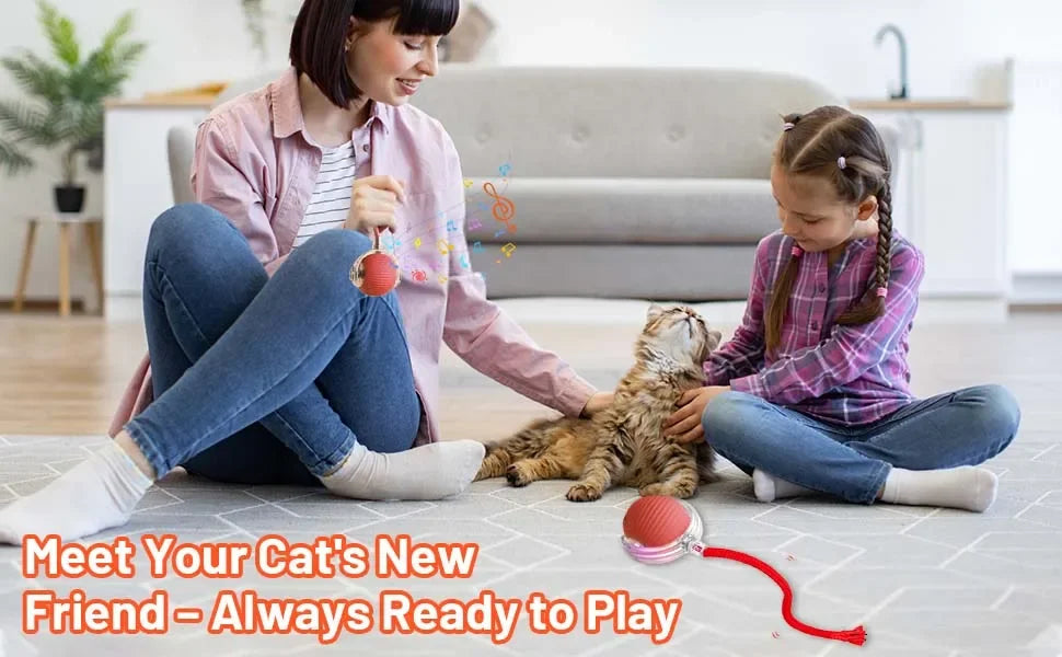 Bola interativa para cães e gatos, bola rolante automática com cauda falsa
