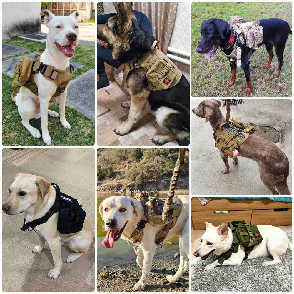 Colete de treinamento militar para cães de grande porte