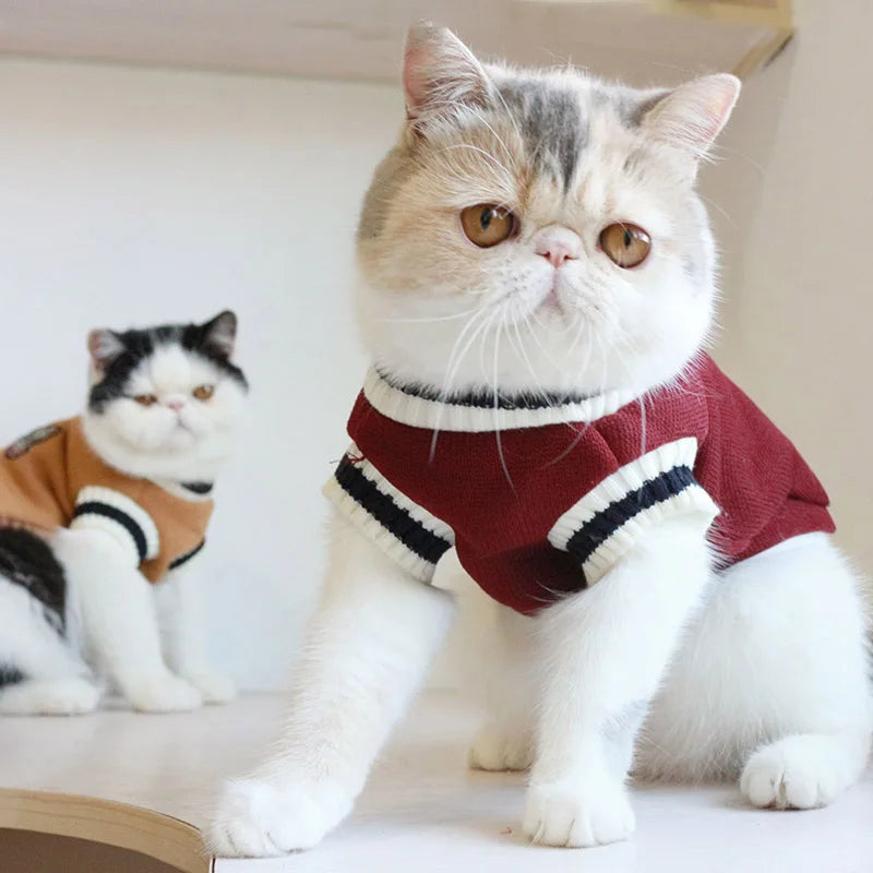 Suéter de inverno com estampa de gato e Cão