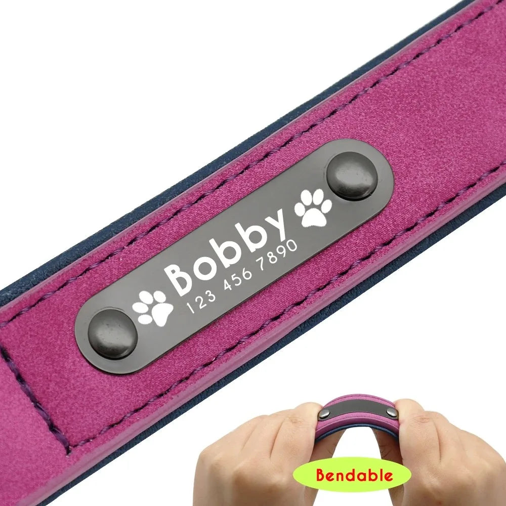 Coleiras Personalizáveis com Nome e etiqueta