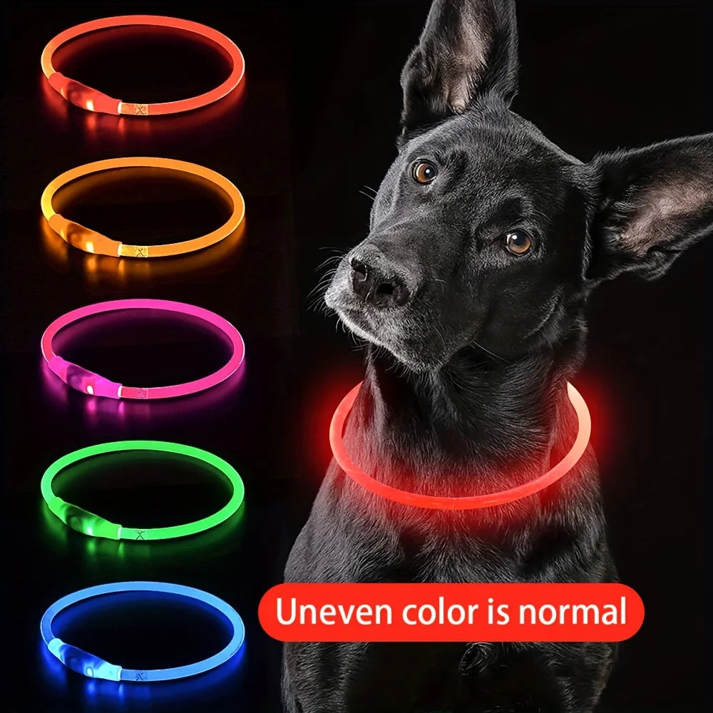 Coleira de LED para cães, luminosa, anti-perda, recarregável via USB.