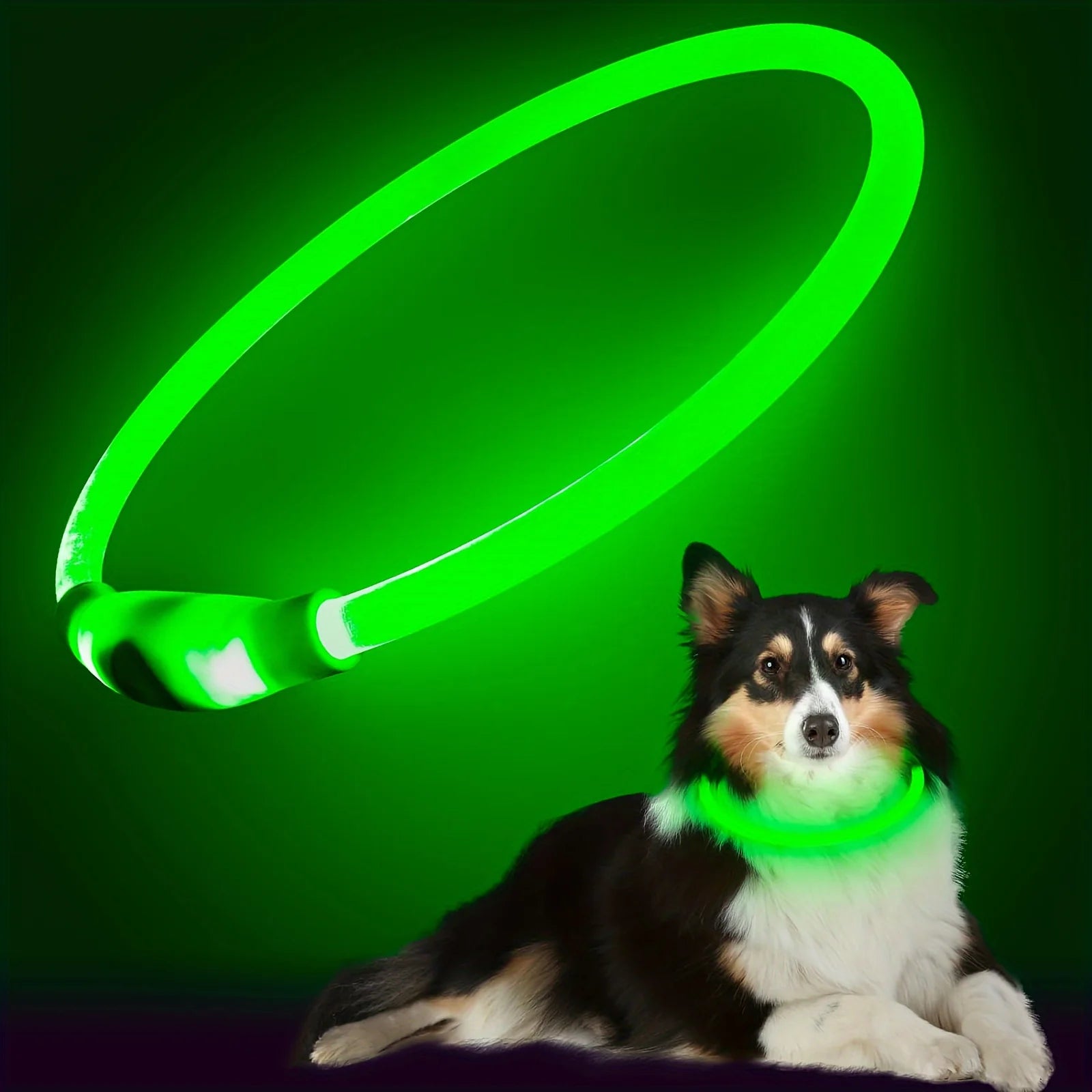Coleira de LED para cães, luminosa, anti-perda, recarregável via USB.