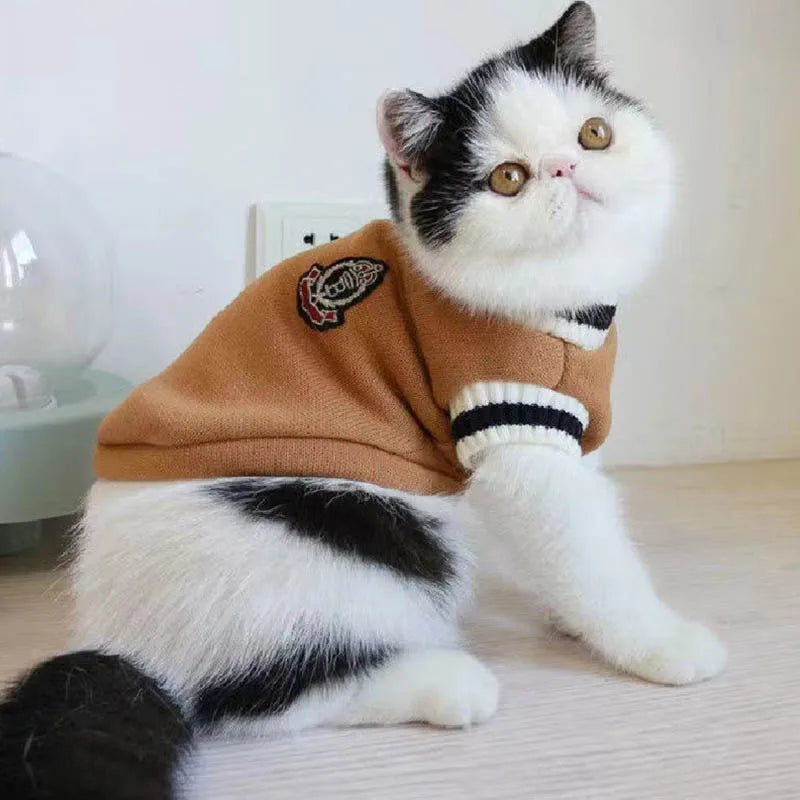 Suéter de inverno com estampa de gato e Cão