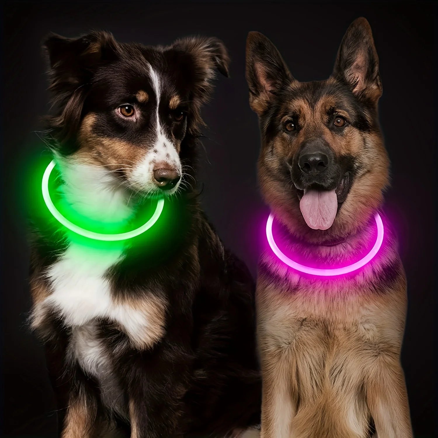 Coleira de LED para cães, luminosa, anti-perda, recarregável via USB.