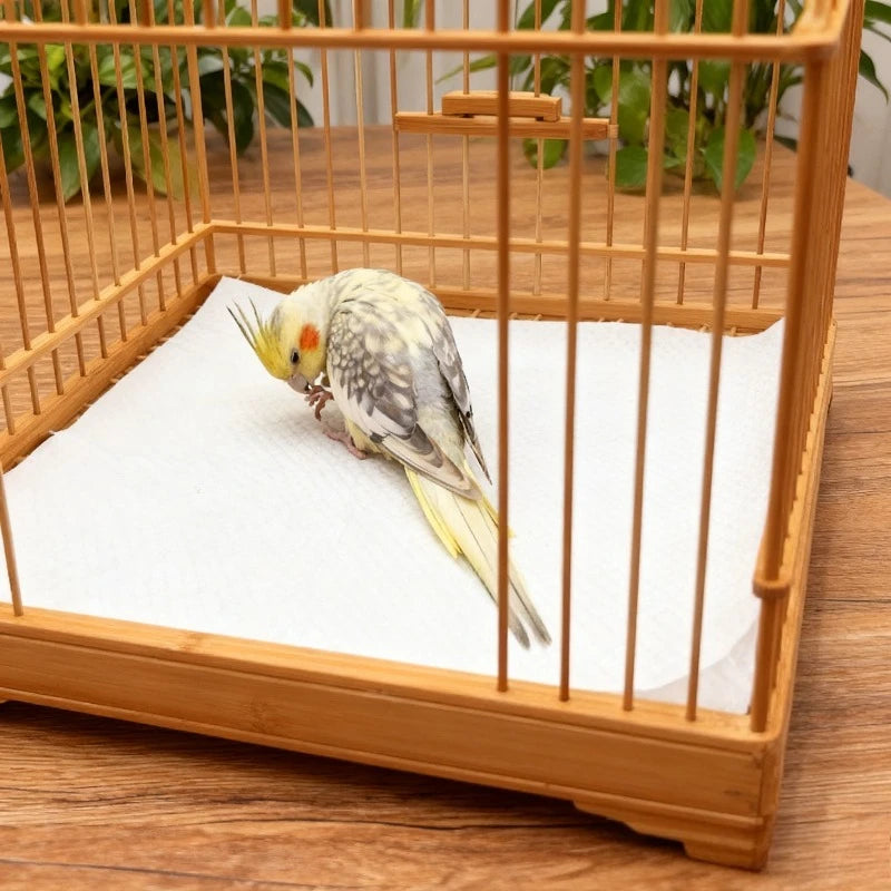 Forro descartável para gaiola de pássaros