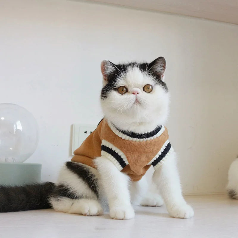 Suéter de inverno com estampa de gato e Cão