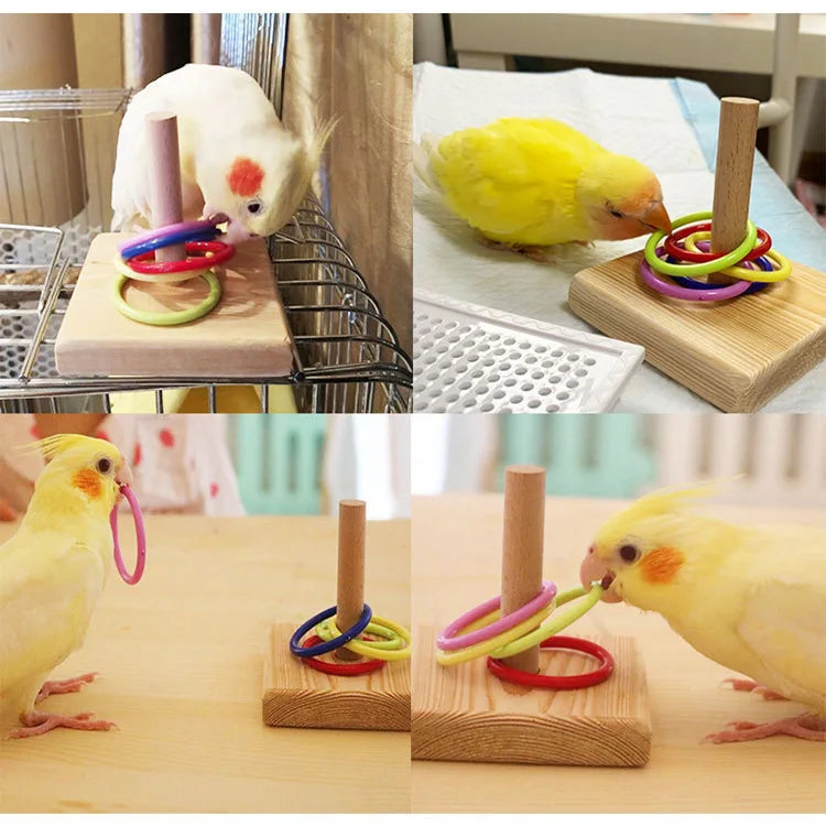 Conjunto de brinquedos para treinamento de pássaros, quebra-cabeça de blocos