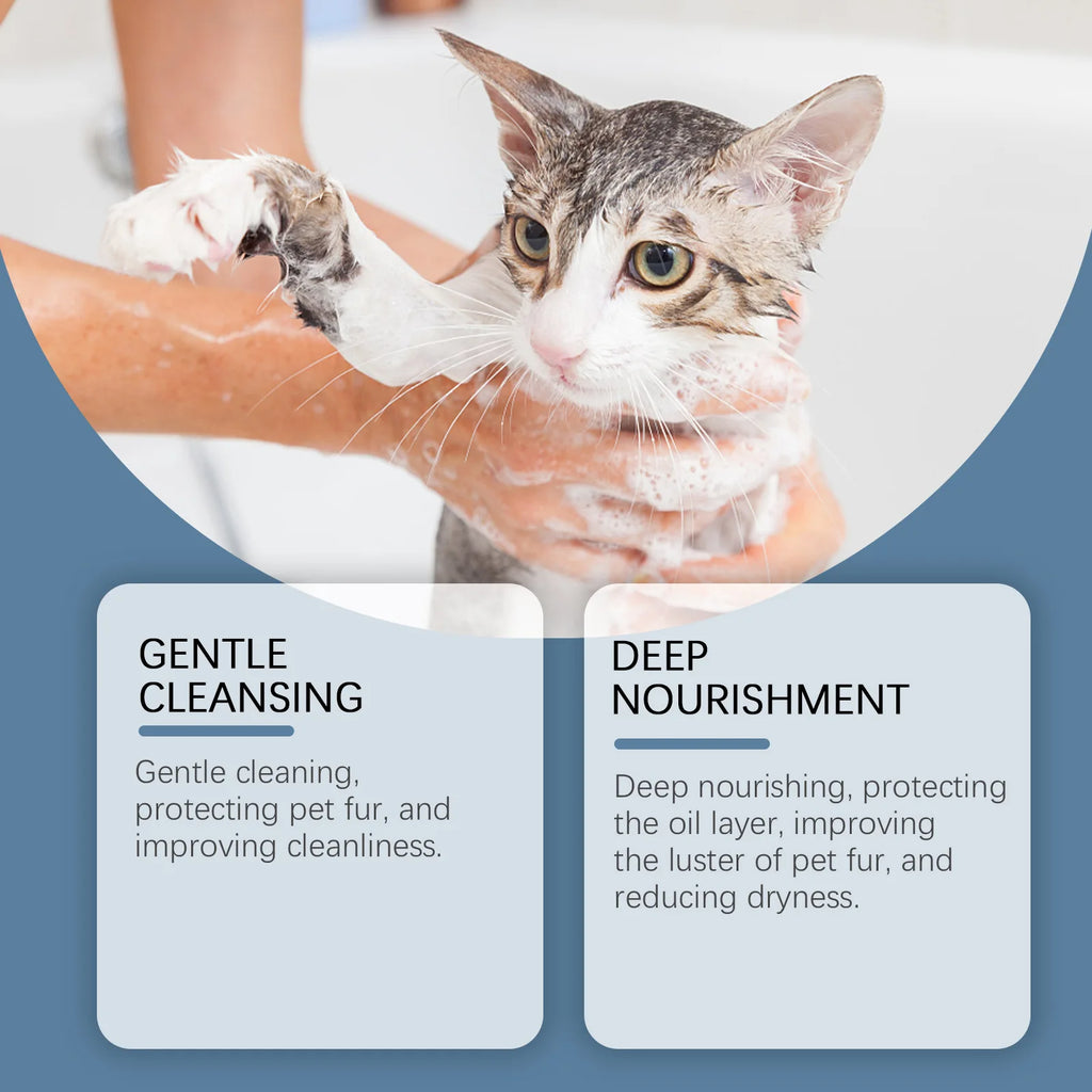 Gel de Banho para Cães e Gatos com Fragrância