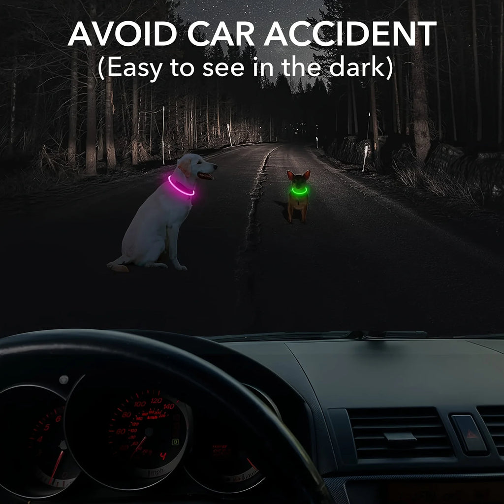 Coleira de LED para cães, luminosa, anti-perda, recarregável via USB.
