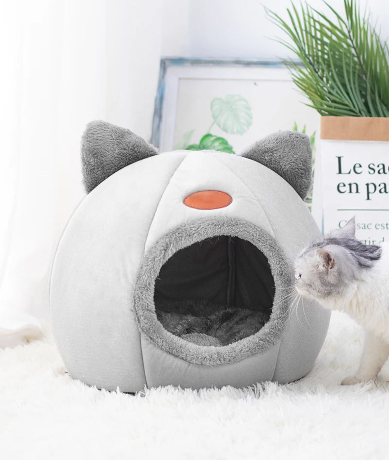 Cama de gato para inverno