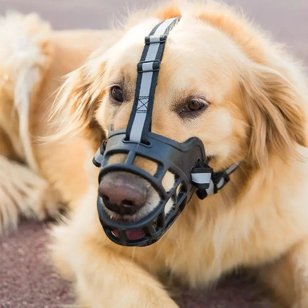 Focinheira de proteção respirável e confortável para cães