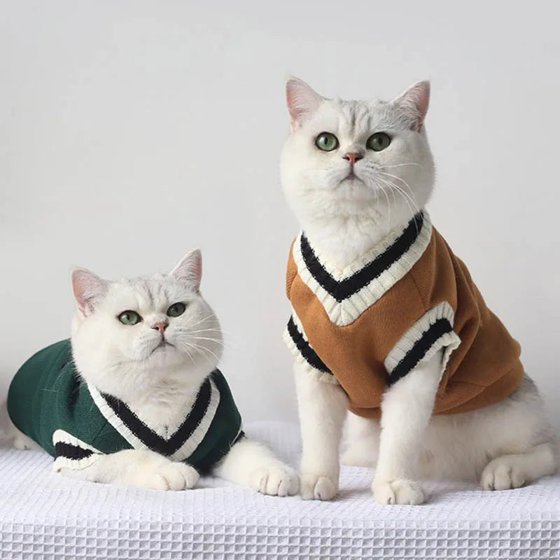 Suéter de inverno com estampa de gato e Cão