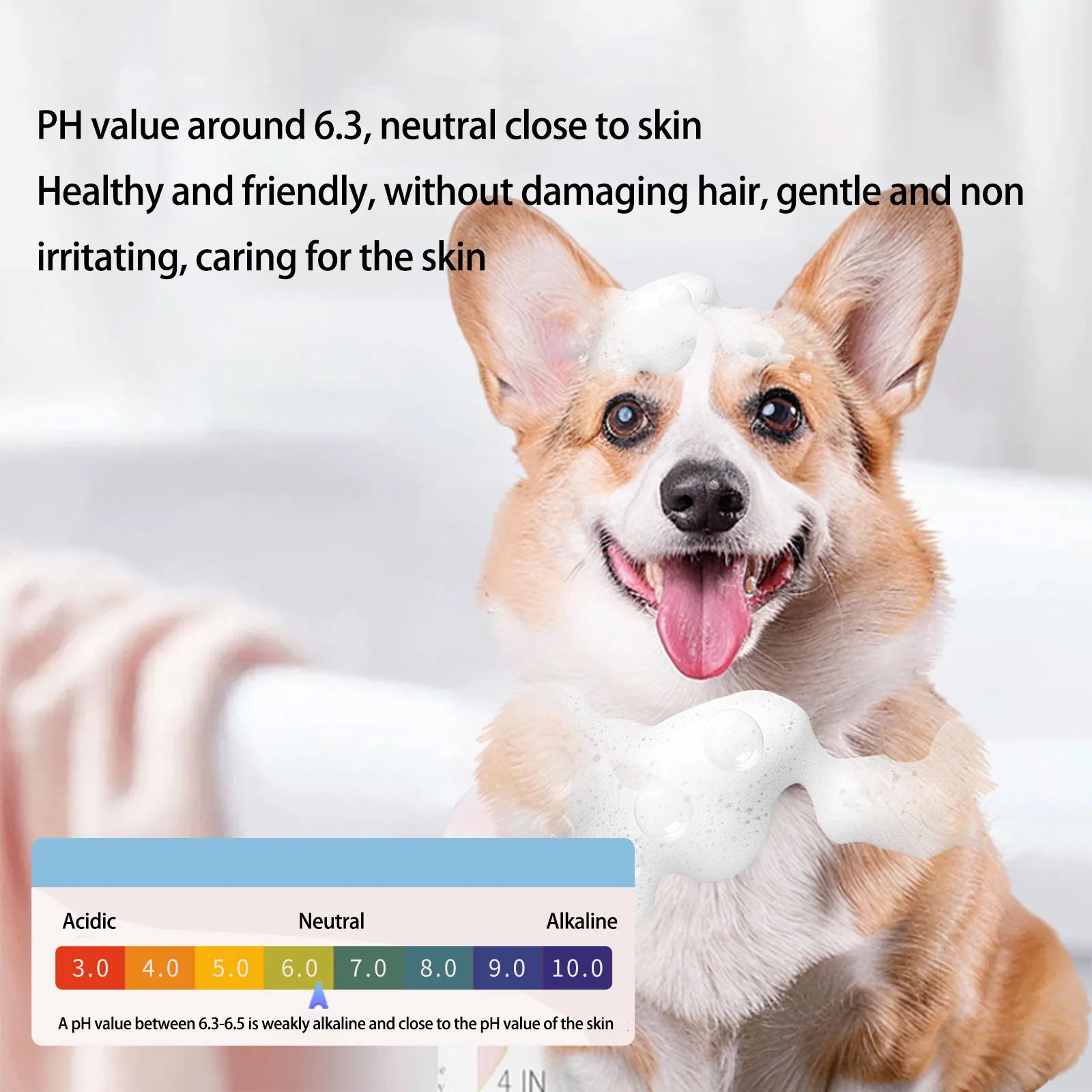 Gel de Banho Universal para Cães, Shampoo para Todos os Cães