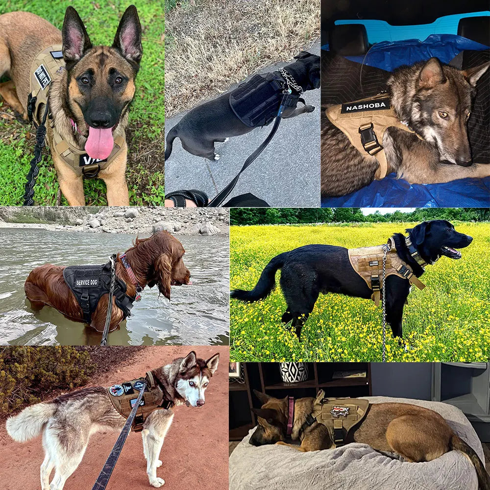 Colete de treinamento militar para cães de grande porte