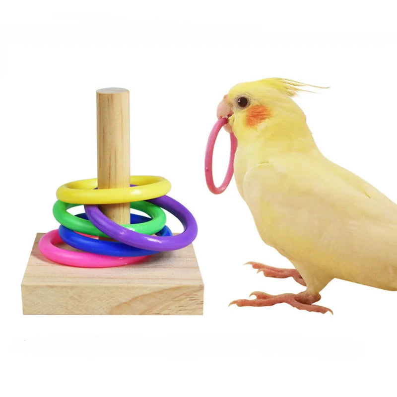 Conjunto de brinquedos para treinamento de pássaros, quebra-cabeça de blocos