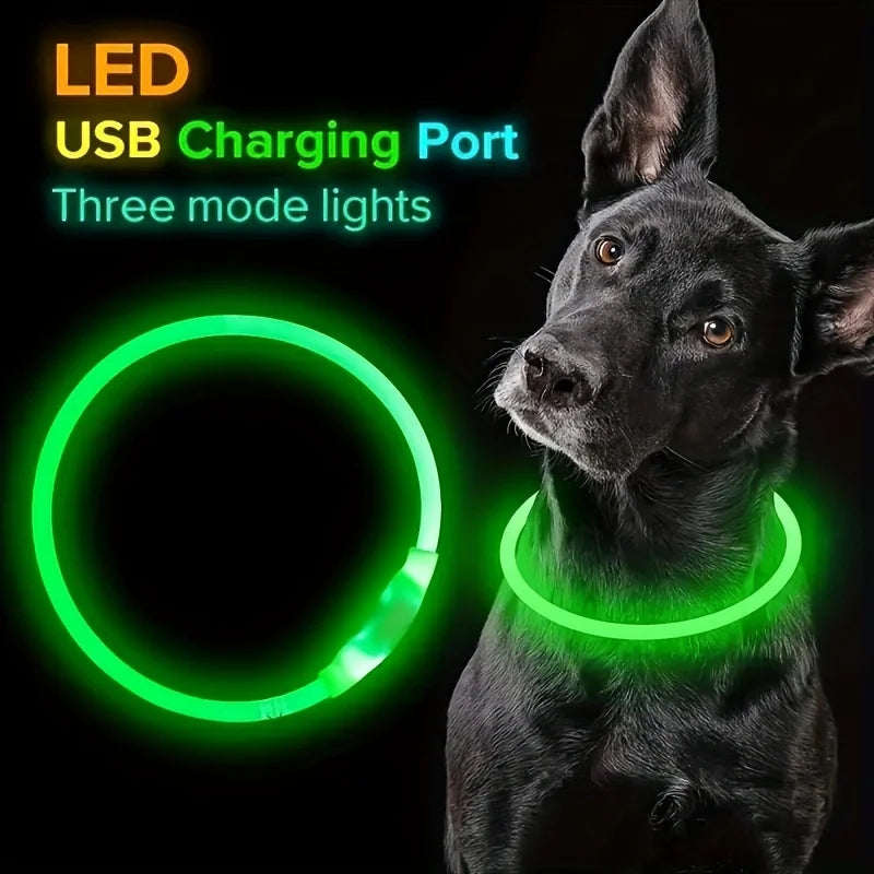 Coleira de LED para cães, luminosa, anti-perda, recarregável via USB.