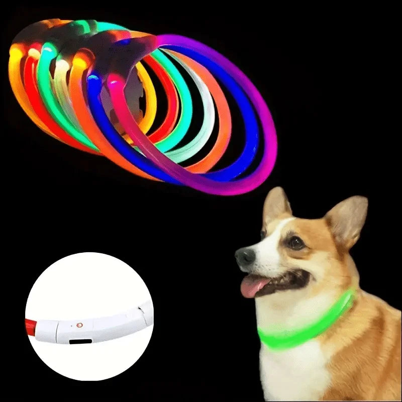Coleira de LED para cães, luminosa, anti-perda, recarregável via USB.